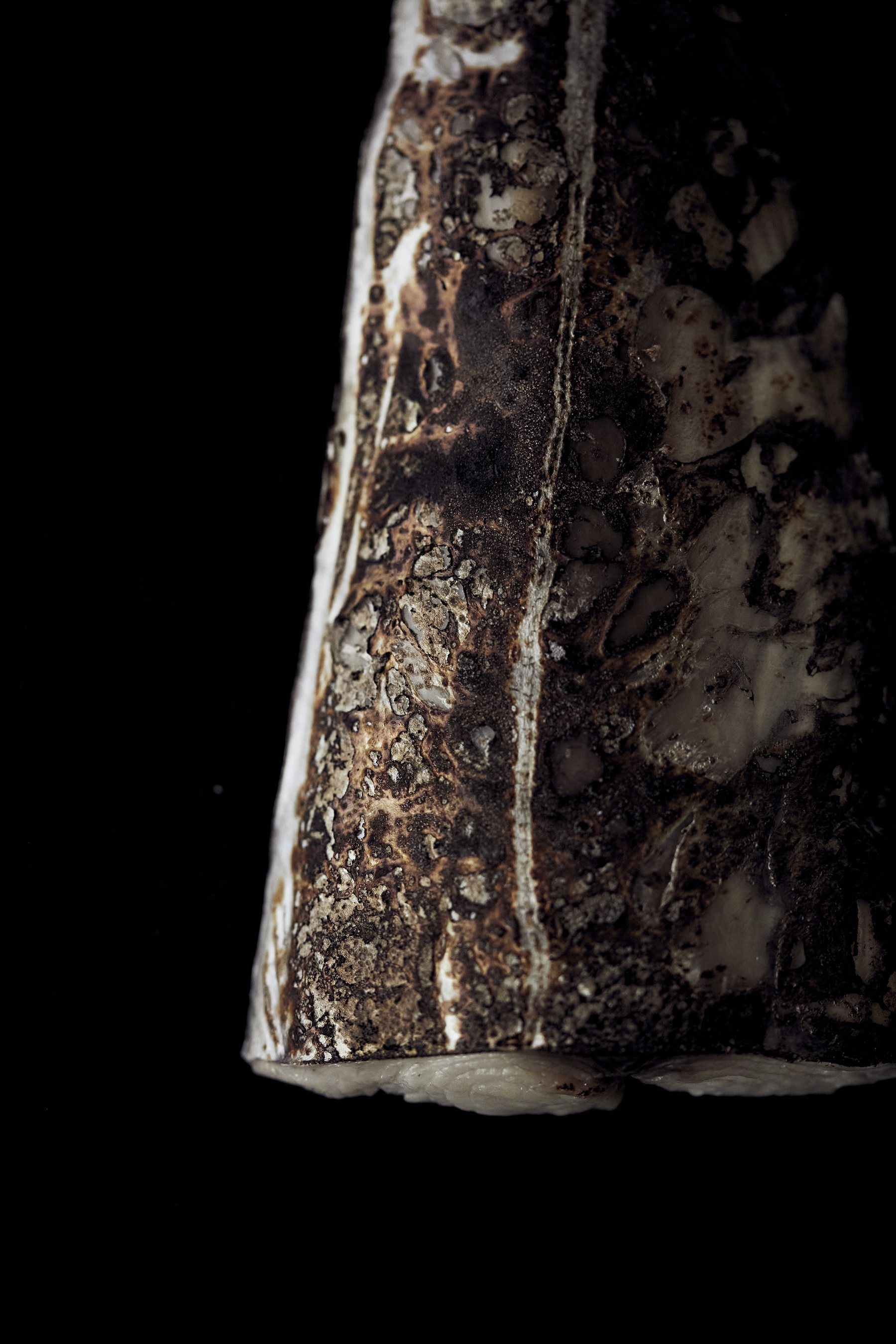 Antre - Conceptual Delicacy — photo 5