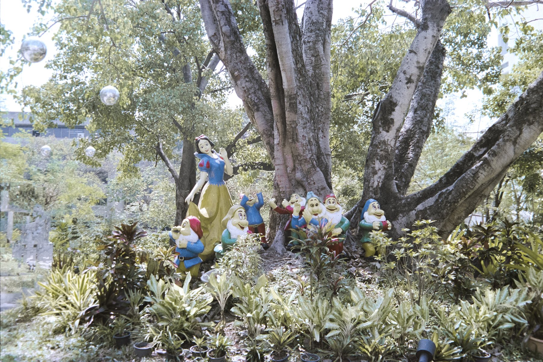 Improvise photozine — photo 4