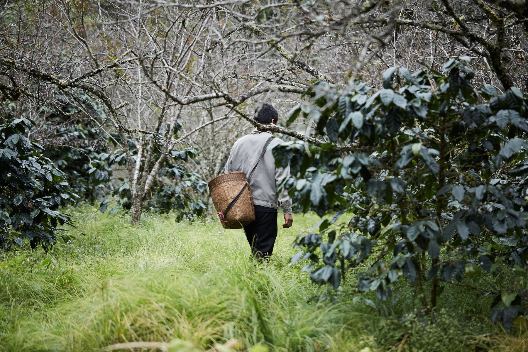 Roots / Coffee people for tomorrow — photo 3