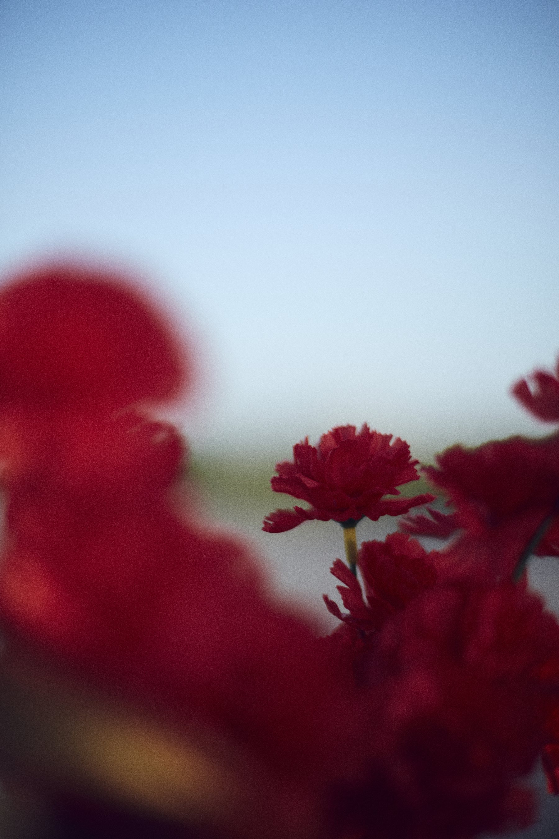 Studio Marketing Materials Calendar — photo 7
